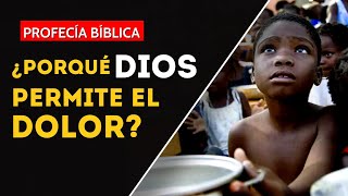 ⚠PROFECÍA BÍBLICA⚠  El enigma del sufrimiento humano.