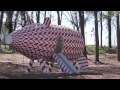 Installation: Pig Slide in the Park
