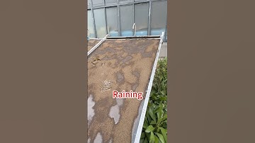 How do you clean solar panels?#solarpanel #solarsystem #cleaning