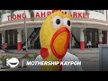 🐓 Malaysian chicken export ban, hawkers' plight | MS Kaypoh