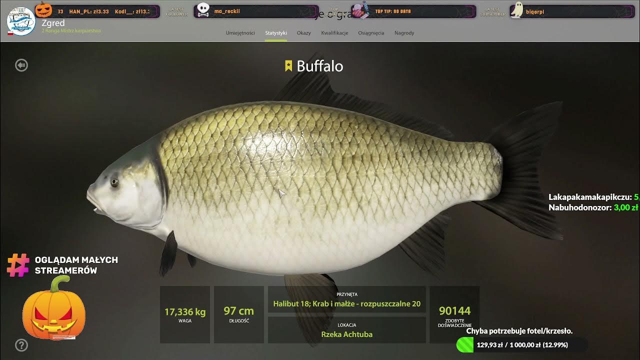 реальная рыбалка буффало большеротый. судак на 14 килограмм. русская рыбалка 4 волосяная оснастка. буффало большеротый реальная. рыба буффало ловля.