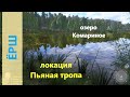 Русская рыбалка 4 - озеро Комариное - Ёрш оптом и в розницу