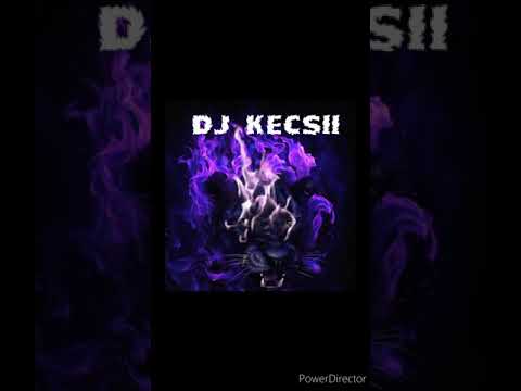 Kowalsky meg a Vega-Amilyen hülye vagy(Dj Kecsii Club mix)