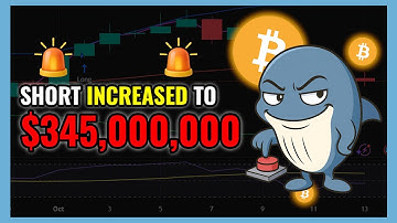 Bitcoin Whale Insider Short Increased To $345 MILLION? | WHALE ALERT
