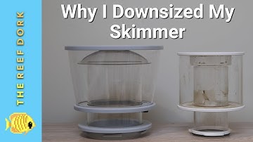 Are Smaller Skimmers REALLY Better?