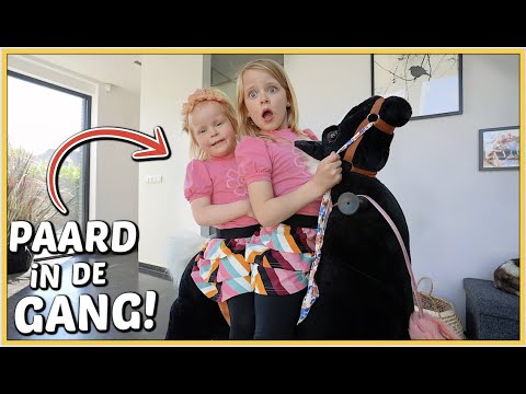 WE HEBBEN GEEN TiKTOK MEER EN ER STAAT EEN PAARD iN DE GANG 😱 | Bellinga Vlog #2342