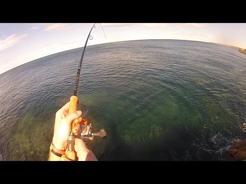 Simple Rock Fishing 