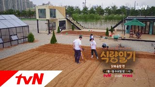 fooddiary ′리얼′ 농사가 이렇게 힘든거란다! 180606 EP.2