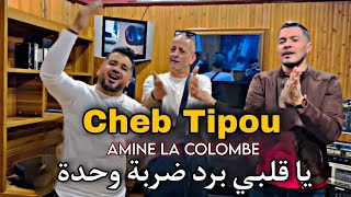 Cheb Tipou Ft Amine La Colombe - Ya Galbi Brad Darba Wahda 2023 شاب تيبو - يا قلبي برد ضربة وحدة