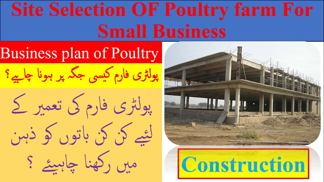 poultry farm business plan in pakistan