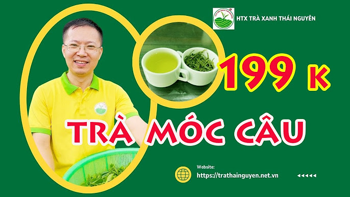 7 Bước Trong Quy Trình Sản Xuất Trà Nõn Tôm Thái Nguyên Đặc Biệt