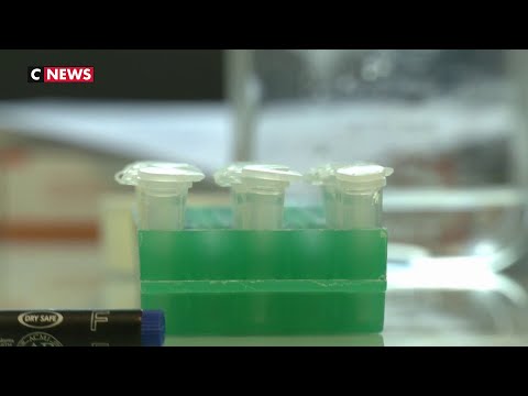 Coronavirus: les chercheurs de l’institut Pasteur de Lille s'activent Coronavirus: les chercheurs de l’institut Pasteur de Lille s'activent
