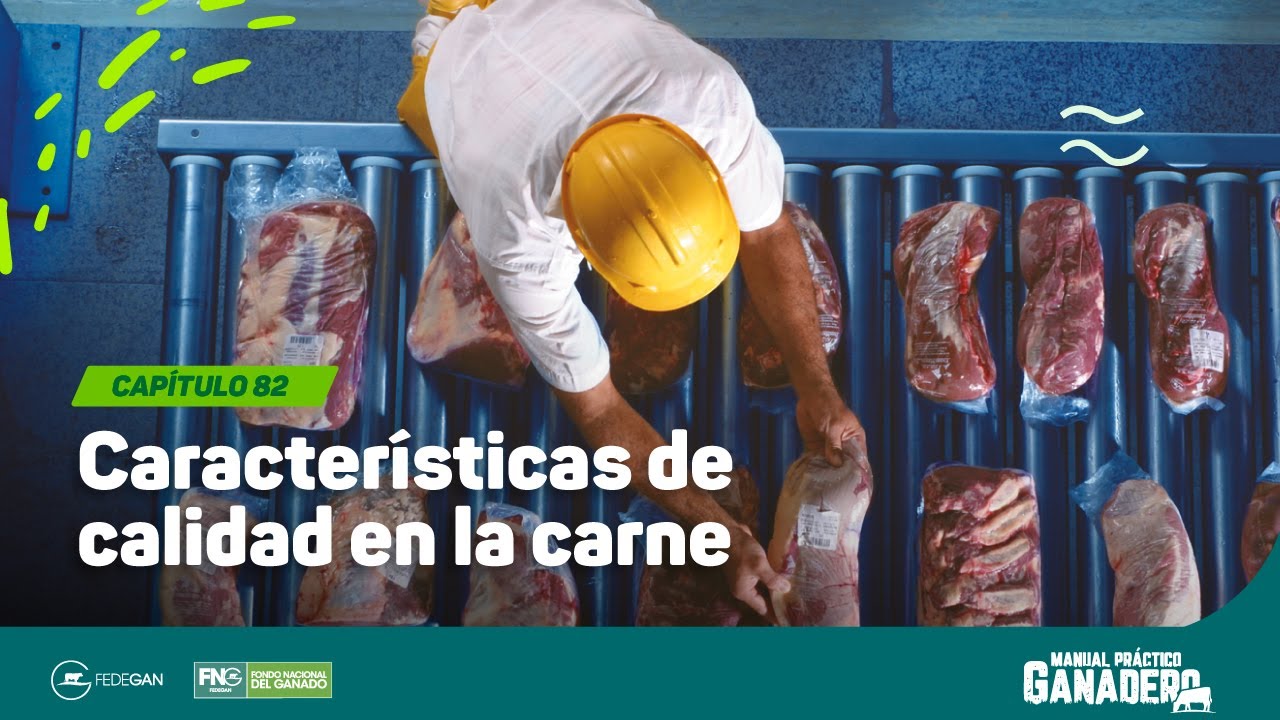 Cap 82 - Características de calidad en la carne #manualpracticoganadero
