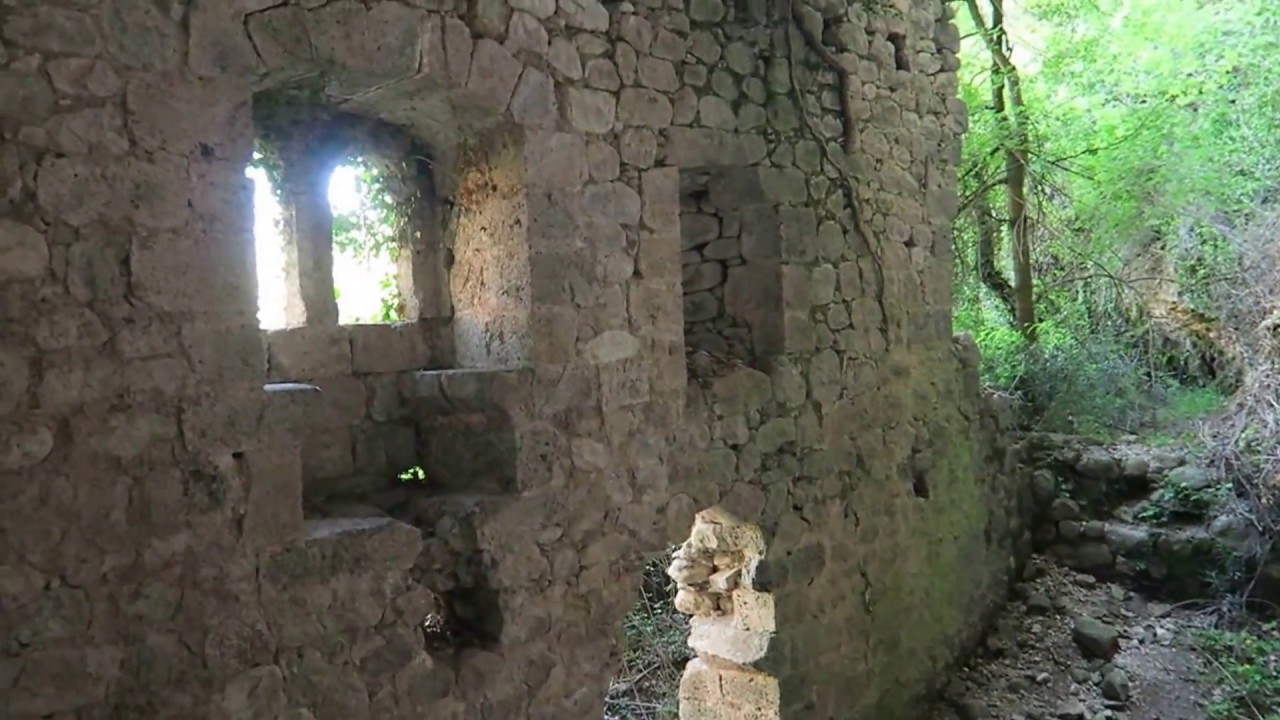 Castanares de las cuevas 2018
