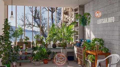 Enscape Custom Asset Interior Plant  Pack 1