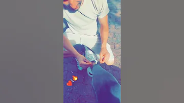 خطيبي تحت اقدامي 
