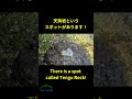 どこの山でしょう?Guess the mountain!⑬ #hiking #登山 #登山クイズ
