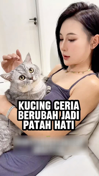 Kucing yang difitnah