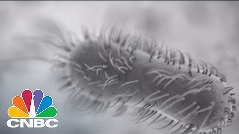 Superbug Found In US For First Time: Bottom Line | CNBC