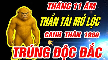 Thần tài mở lộc Tuổi CANH THÂN 1980 NHẬN VẬN MAY CỰC ĐỎ CỰC GIÀU đúng Tháng 11 âm lịch 2025