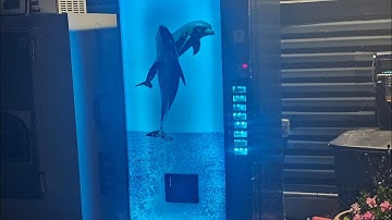 L.E.D UPGRADE  ON ROYAL VENDORS VENDING MACHINE