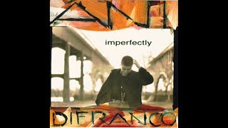 Ani DiFranco - What If No One&#39;s Watching