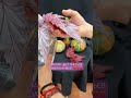Изнанка или лицо?Что красивее? #цветочнаяклептомания #экзотическиерастения #бегония #begonia #plants