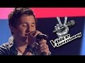 Hey There Delilah - Josef Prasil | The Voice of Germany 2011 | Blind Audition Cover