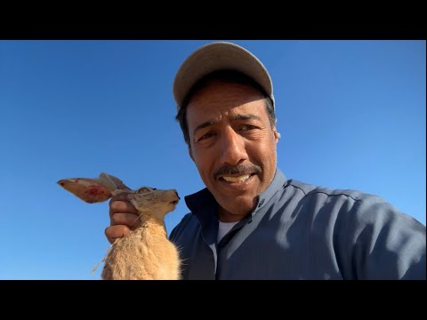 مقناص سوريا 2025 3 مجموعة ابو سعد اليوم الاول 1 كدري ارانب