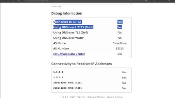 Simple encrypted DNS of Chrome Browser