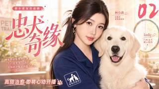 《忠犬奇緣》02：高冷女院長不信愛情，卻被神犬安排命中劫！💕#檀健次 #周也   #中国电视剧 #film #movie #都市甜宠 #言情剧 #drama  #高颜值甜剧 screenshot 1