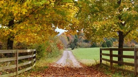 Thanksgiving Day Song ~Susan Buchanan