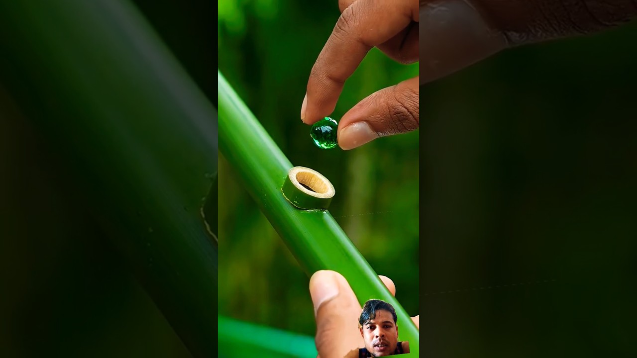 new Creative Bamboo toy Design with Bamboo Creations 