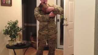 Soldier welcomed home from deployment by mini dachshund