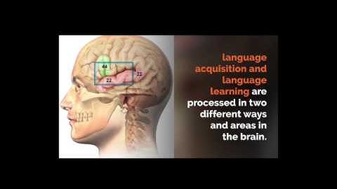 Language Acquisition and Language Learning – Ute