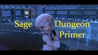 FFXIV 6.0 Endwalker - Sage Dungeon Primer