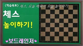 43-2. 체스 플레이 영상 screenshot 2