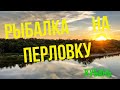 ГУСТЕРА и КАРАСИ  из ПУЛЕМЕТА на ПЕРЛОВКУ  Рыбалка на Кубани в ВЕТЕР  Рецепт ПШЕНО с ЧЕСНОКОМ