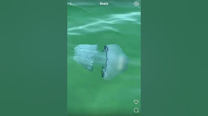 Огромные медузы в чёрном море!!! Опасно!!!