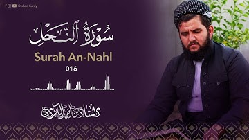 سورة النحل كاملة بترتيل خاشع لا توصف / القارئ دلشاد احمد الكردي