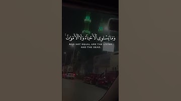 وَمَا يَسْتَوِي الأعْمَى وَالْبَصِيرُ |سورة فاطر 🌟