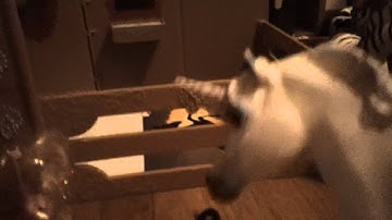 the last unicorn part 9!!!!  Breyer Style (final)  =D