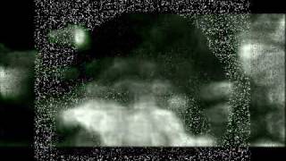 Infant Bigfoot recorded on Trail Camera