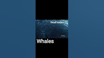 BTC whales crypto currency market This how whales eat retail trader #shorts #cryptocurrency