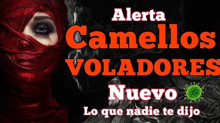 Alerta mundial  camello