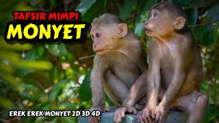 Tafsir Mimpi Monyet & Erek Erek Monyet 2D 3D 4D
