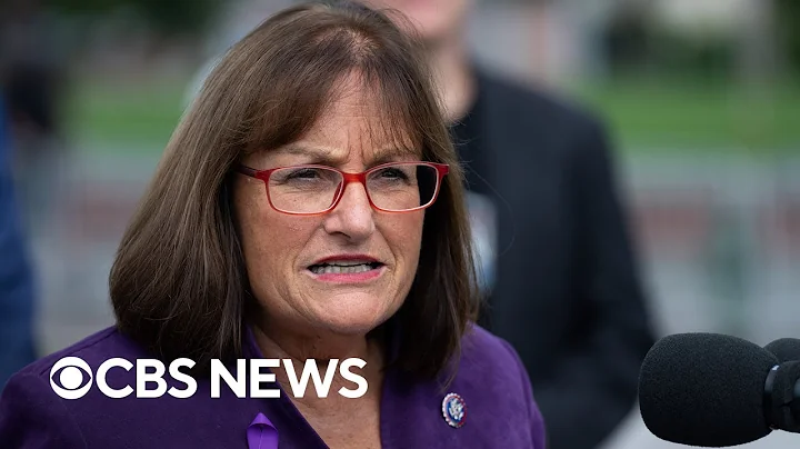 Democratic Rep. Annie Kuster discusses House speak...