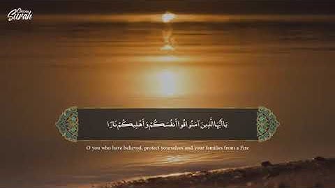 Surah At tahrim   تلاوة عذبة سورة التحريم القارئ احمد خضر
