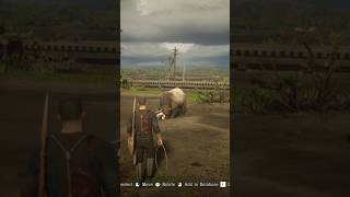 R41 simulate survival skill in rdr2