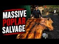 ECA TV | HUGE Poplar Salvage &amp; Milling | Second Life Logs 🌲♻️🪵